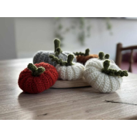 pompoen handgemaakt klein